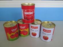 Tomato Paste 28-30%