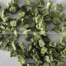  FD   Spinach  Dices, China  FD   Spinach  Dice, Buy  FD   Spinach  Dices