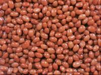 canned red kidneybeans