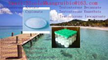 High quality 99% Methyldienedione CAS NO 5173-46-8