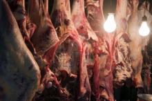 FROZEN HALAL BEEF MEAT CARCASS