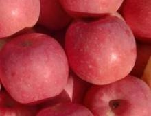 Fresh Quality Fuji Apple , Orange for sale
