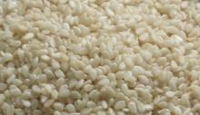 Natural Sesame Seeds