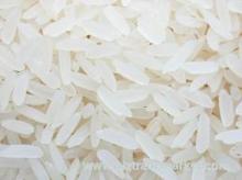 High Quality White Hard Jasmine Rice for Sale