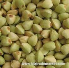 TOP QUALITY GREEN BUCKWHEAT AND HULL BUCKWHEAT