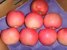 GRADE A FRESH FRUIT AND APPLE FOR SALE