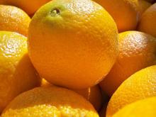 Navel Orange Fresh