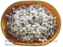 Mi-ni knotted bone for dog chewing