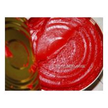 Tomato Paste