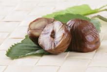 Supreme Chestnut with pack