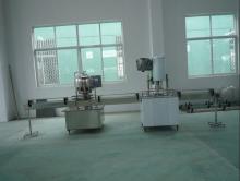 12-1 Automatic Filling and Capping Machine