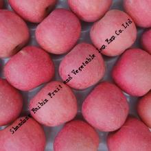 blush paper fuji apple