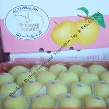 golden delicious apple 2