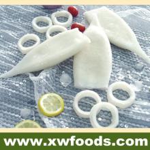  Frozen   seafood   squid  tube