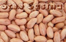 Peanuts (Groundnuts)