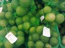 Fresh Lime
