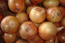Provide chinese exports fresh yellow onions