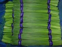 Provide chinese exports fresh garlic stems