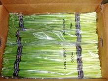 Provide chinese  fresh   garlic   sprout 