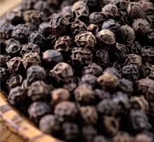 Black Pepper