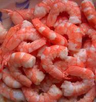  Frozen   red  shrimp
