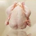 Quality Halal and Non Halal Frozen Chicken