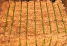  Coco   fiber 