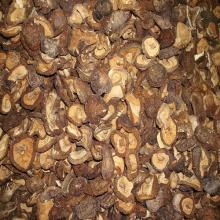  Shiitake  Mushroom P.E.