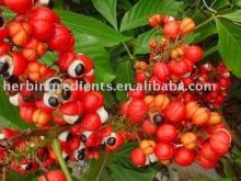  Guarana   Seed  P.E.