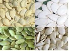  Pumkin   Seeds 