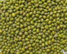 Green Mung Bean