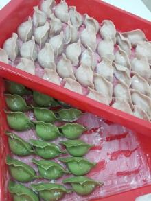 Homemade Dumpling / Jiaozi
