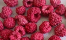 Frozen Dried Raspberry