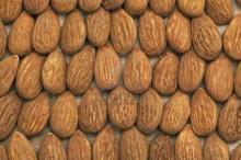 Fresh Raw Almond