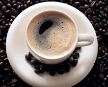 non dairy creamer for hot coffee