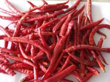 Yunnan chilli stemless