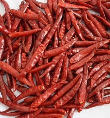 Tianjin Chilli Stemless new crop