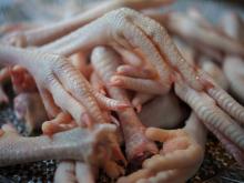 Chicken Feet