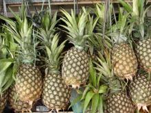 Pineapples