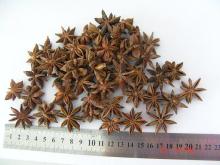 star anise without  stem 