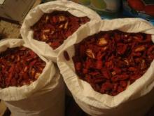 sun-dried tomato