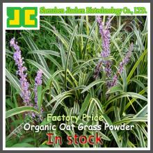 Green Organic Oat Grass Powder
