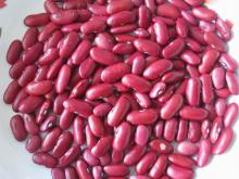 dark red kidney bean