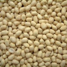 Blanched Peanuts