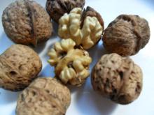 Walnut