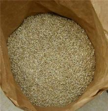 Sunflower seeds kernel