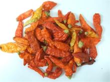 Yunnan small  rice  chilli stemless