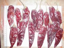 american red chilli