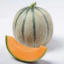 Melon
