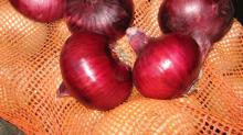 Red Onions